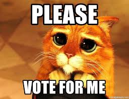 Vote for me